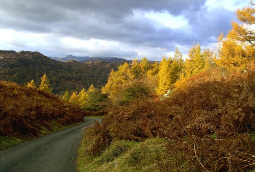 Autumn at Tarn Hows, Cumbria.