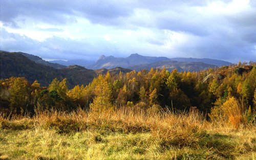 Autumn at Tarn Hows, Cumbria.