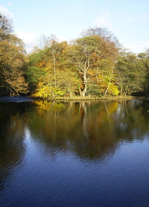 River nr Ambleside, Cumbria.