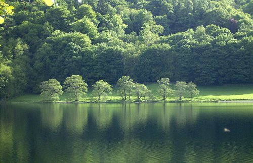 Grasmere, Cumbria.