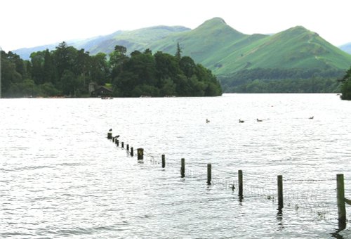 Derwentwater,Keswick, Cumbria. Looking towards Cat Bells.