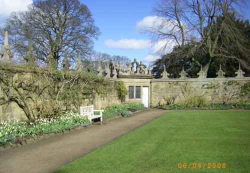 The Garden