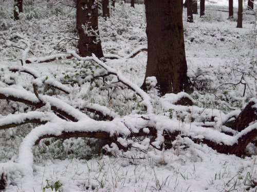 April snow, Sudbury, Greater London