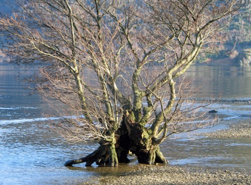 February on Ullswater.