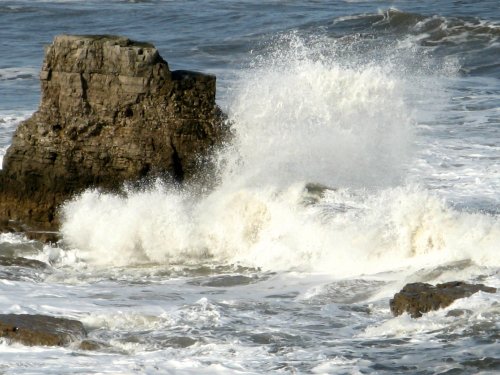 Viewed along the Coastal Walk, Whitburn, Tyne and Wear.