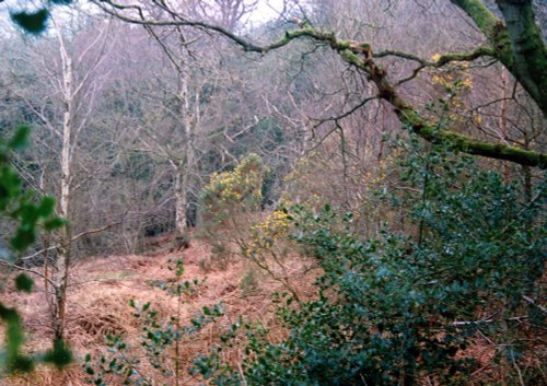 Gutch Common West of Tisbury