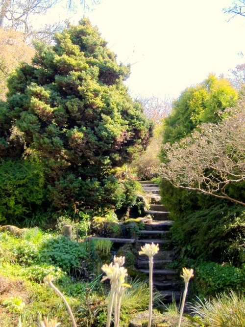 Highdown Gardens steps away