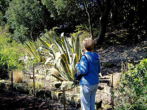 Some look with wonder in Highdown Gardens