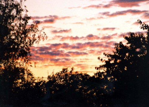 Sunset over Weaveland Road Allotments, Tisbury, Wiltshire