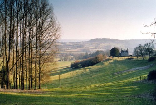 View from West Hatch West of Tisbury