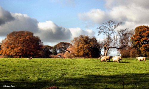 Shillingstone in Dorset