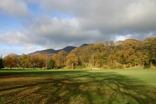 View of Fitz Park