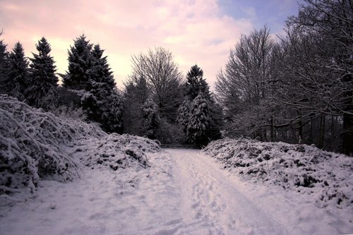 Winter, Flixton, Suffolk