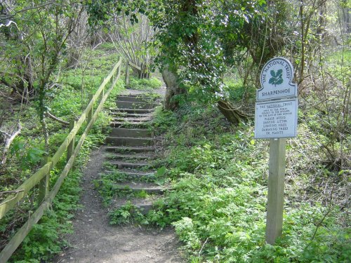 Sharpenhoe Clappers