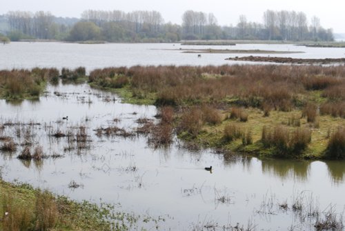 Rutland Water