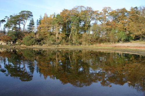 Calf Close Bay