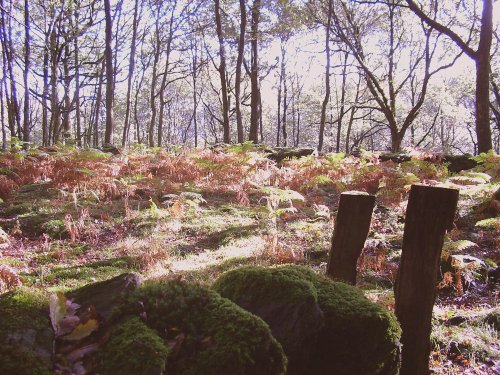 Footpath to High Dam