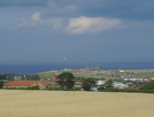 Whitby Abbey from a long way off!