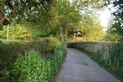 Knowle Green Bottoms, Lancashire.