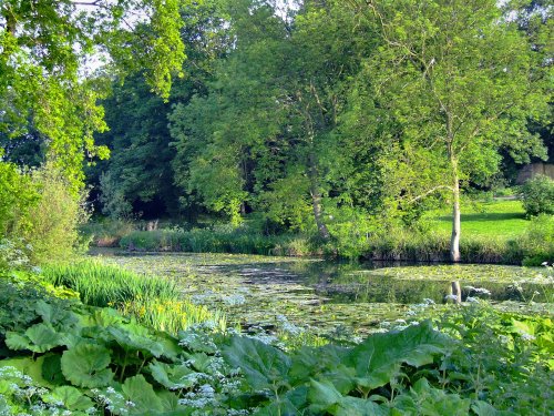 The pond, Cave castle