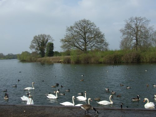 Dinton Pastures Country Park