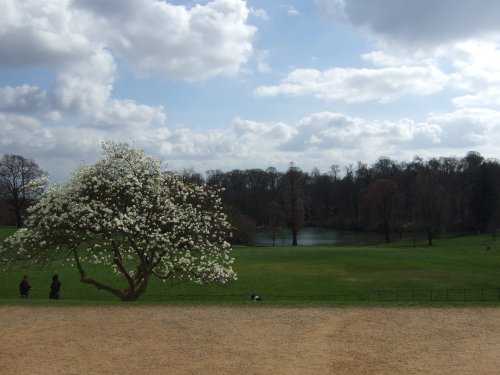 The gardens Kenwood House