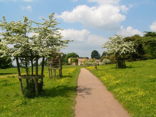 Killerton house