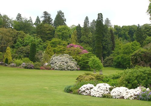 Killerton house gardens