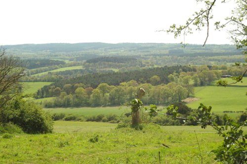 Newlands corner