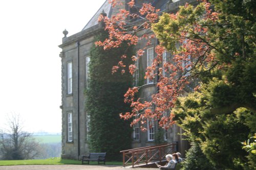 Wallington Hall, Spring afternoon.