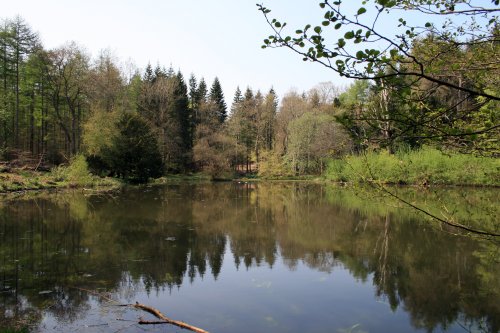 The Lake at Wallington Hall.