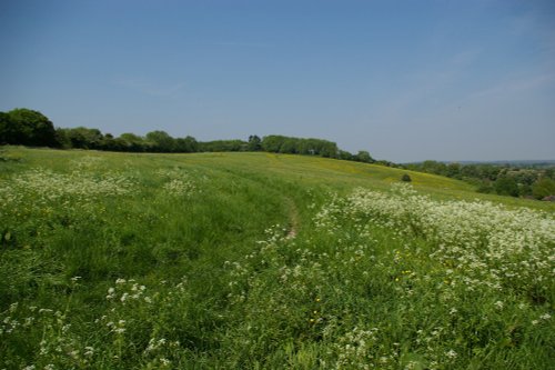 The top of the Mount