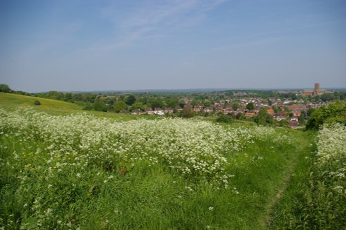 View from the Mount