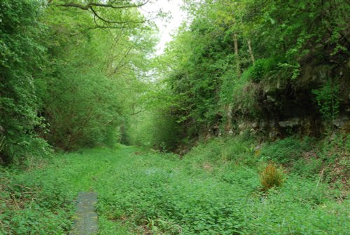 Tilton Railway Cutting