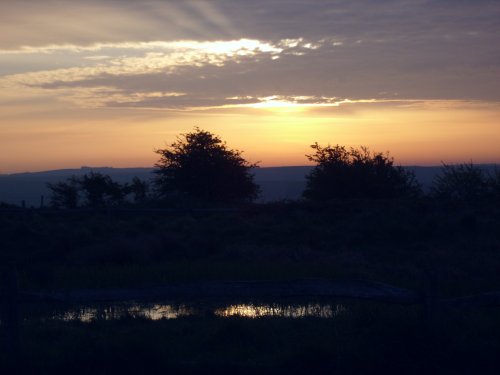 Dawn on the Downs