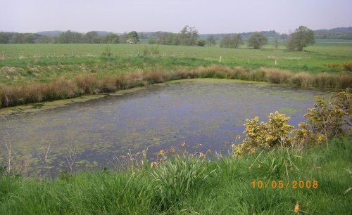 Stockwith Mill