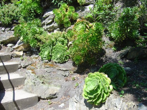 Ventnor, Isle of Wight