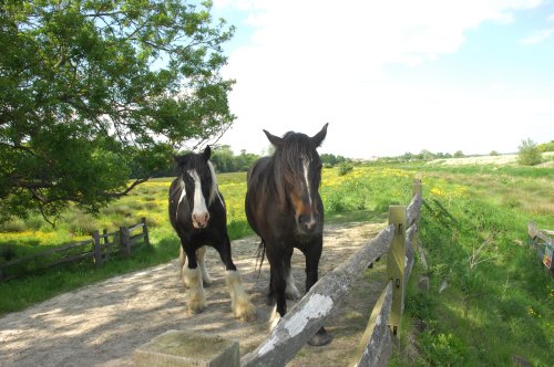 Alfriston