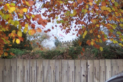 Union Jack thru the Fall Foliage