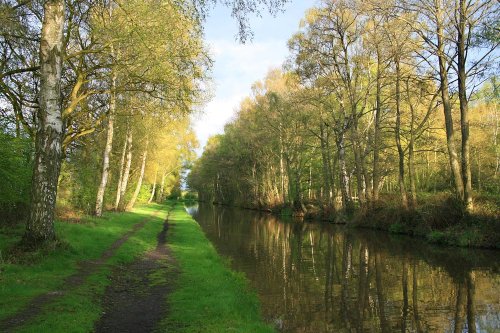 Trent & Mersey Canal near Fradley