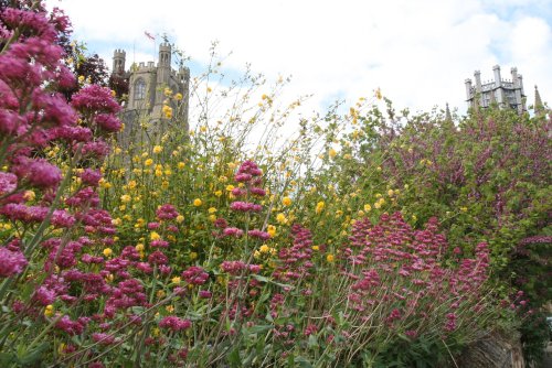 The Cathedral with flowers