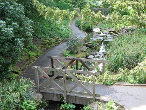 The dene, Saltwell Park,Gateshead