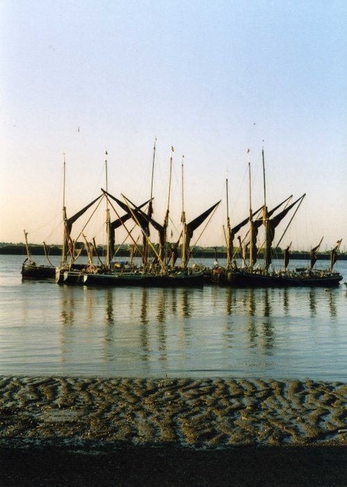 Thames Barges Moored off Gravesend