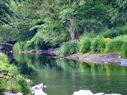 The river Kent