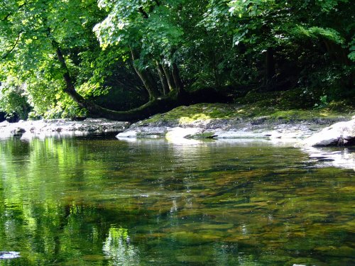 The river Kent