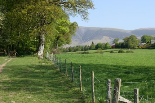 View towards Skiddaw