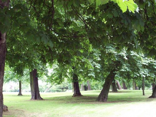 Barham Park