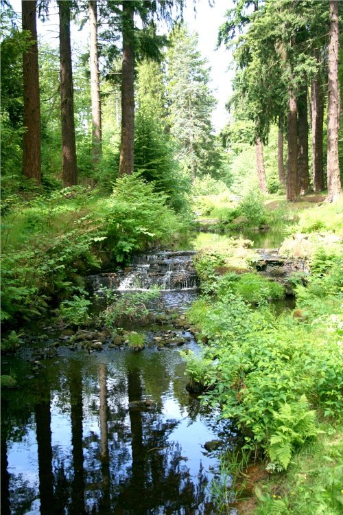 Cragside Estate, nr Rotherbury, Northumberland.