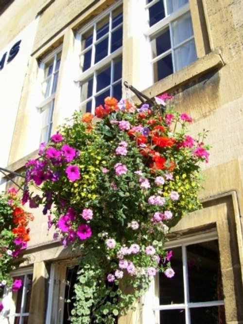 Flower Basket