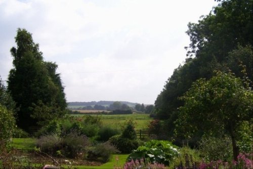 Garden with a view